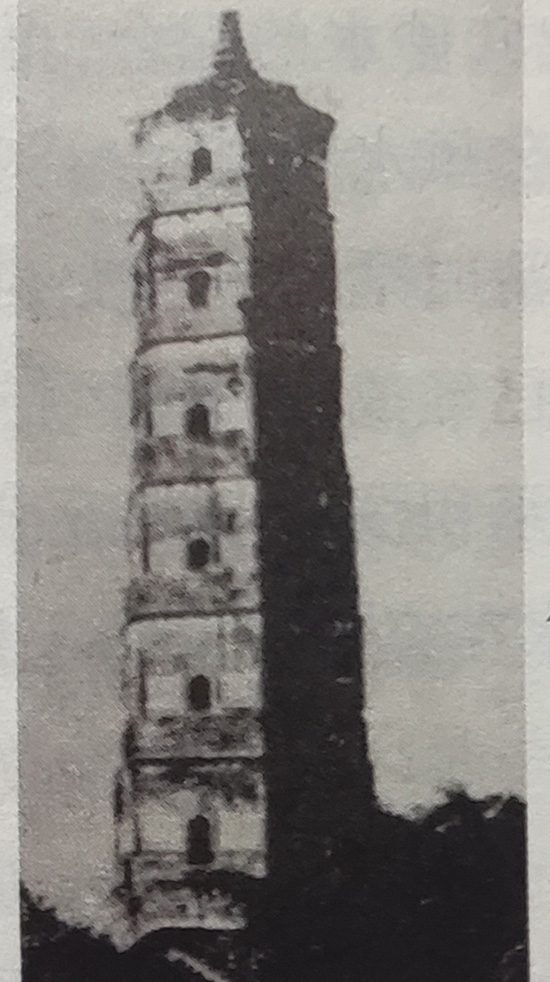 1689947226924.jpg